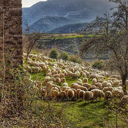 Casa rural Petricor, Ordesa Vio