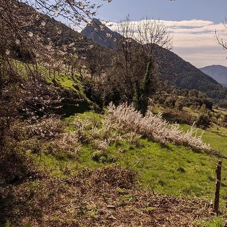 Casa rural Petricor, Ordesa *