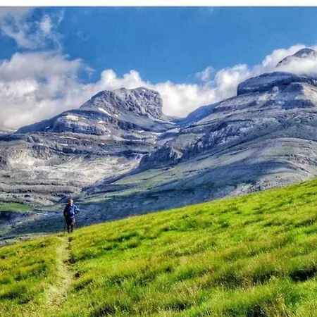 Petricor, Ordesa Vio